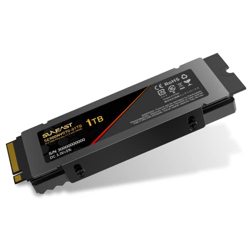 SUNEAST SE900NVG70-01TB ※1TB Gen 4.0×4 31NKp+VukxL.jpg